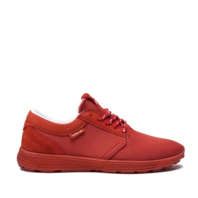 Tenis Bajos Supra HAMMER RUN Hombre Bossa Nova (MX-26587)